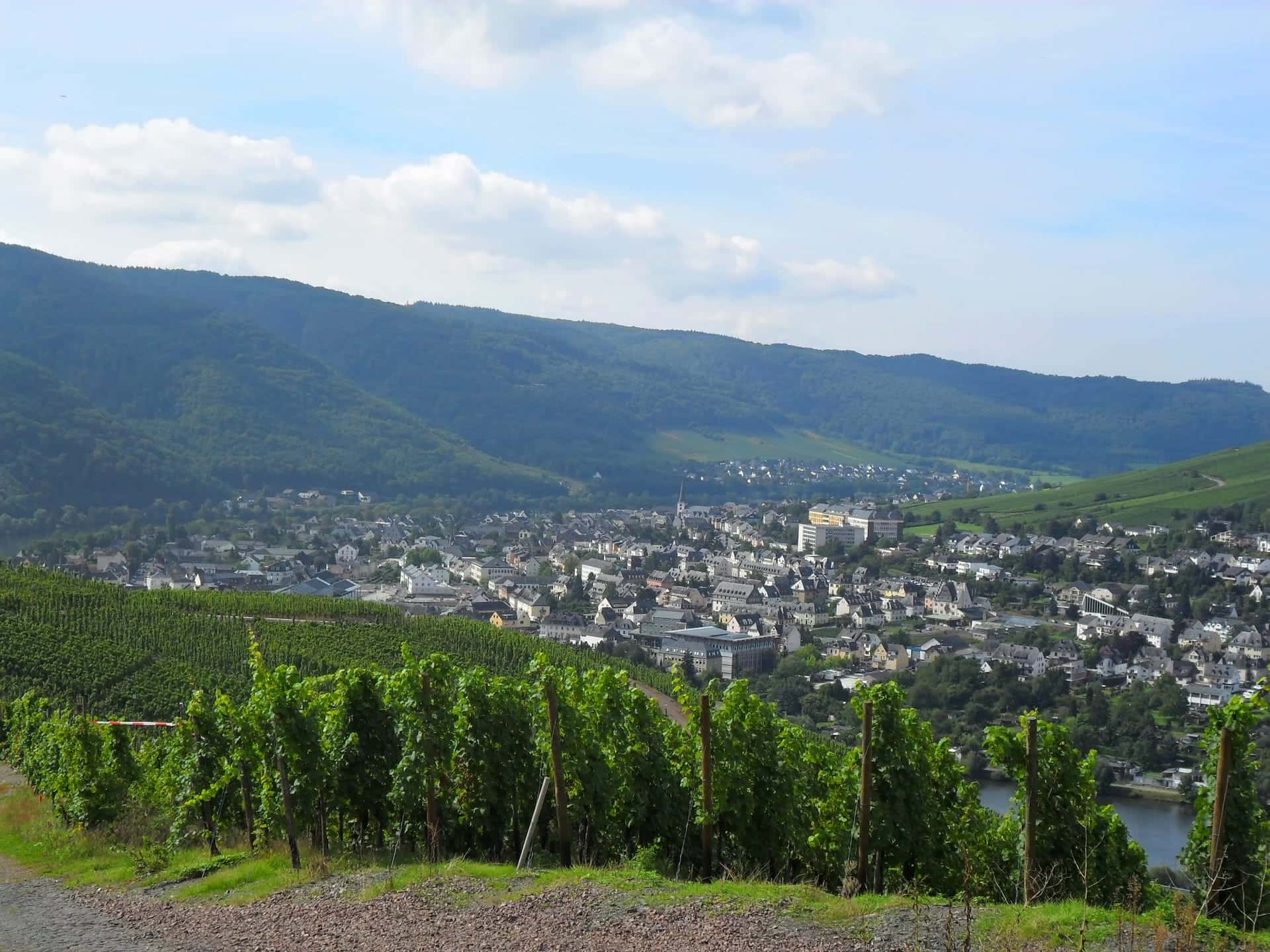 Blick auf Andel und Bernkastel-Kues